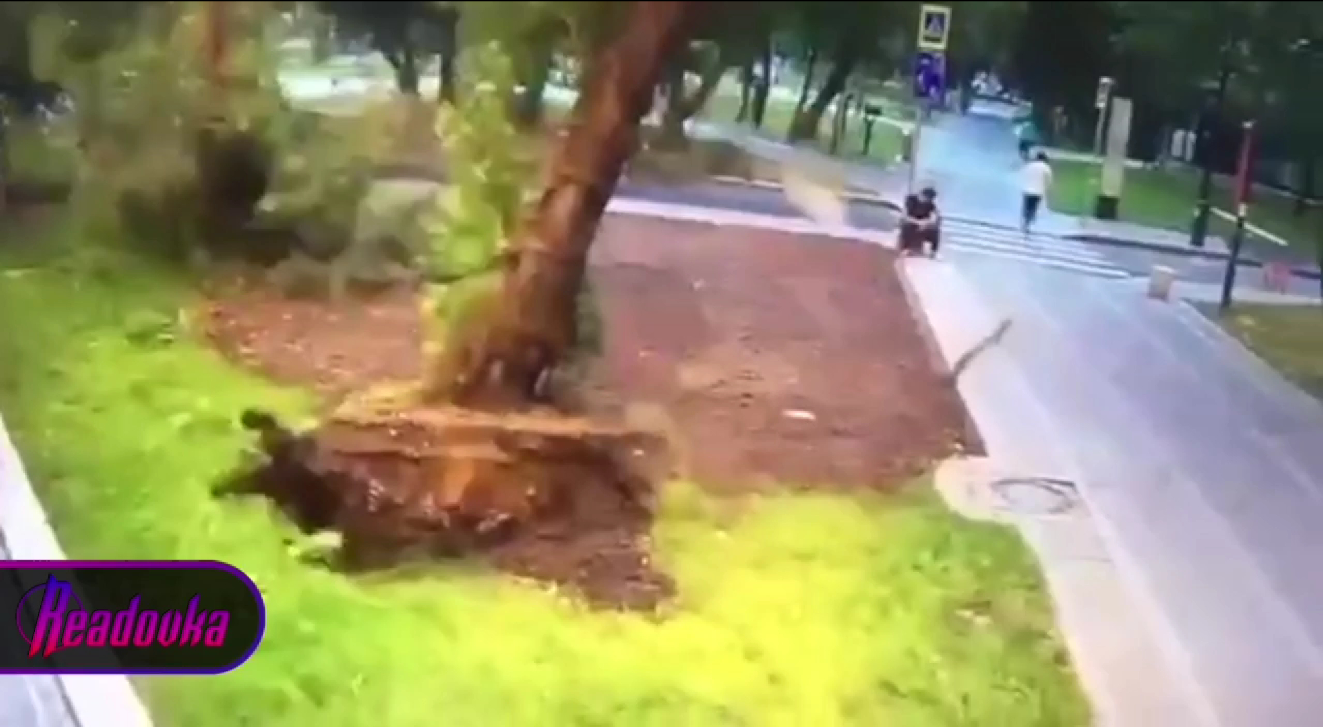 В Москве из-за урагана погиб мужчина
