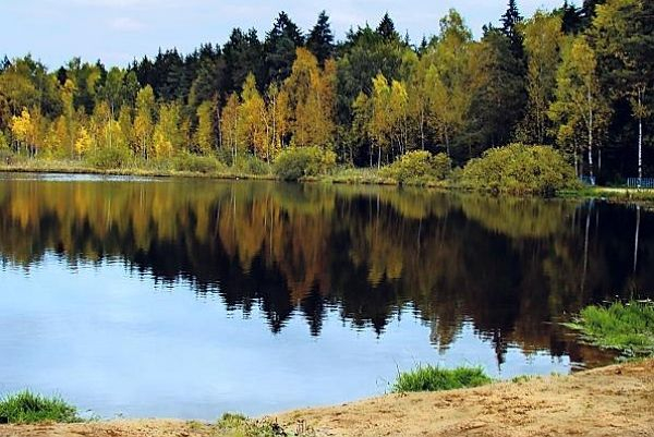 В Новосибирске погиб школьник, спасая тонущую одноклассницу 