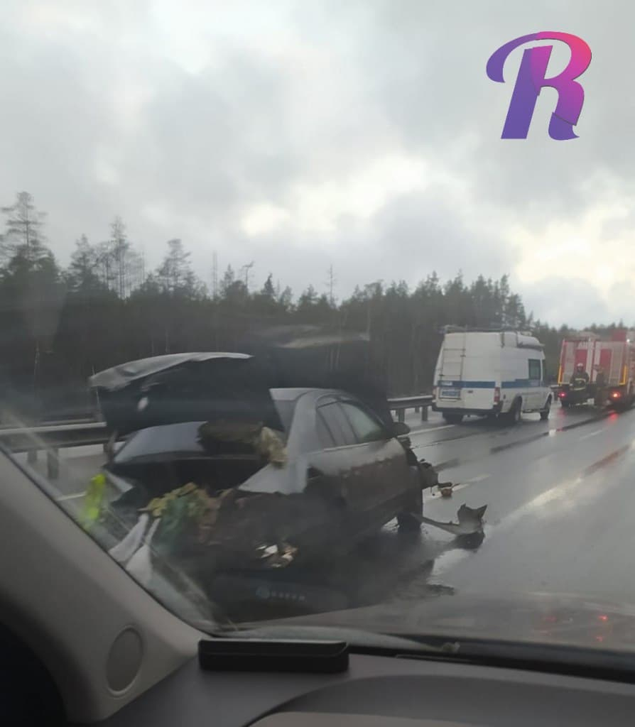 На трассе под Петербургом в багажнике машины обнаружили труп с перерезанным горлом